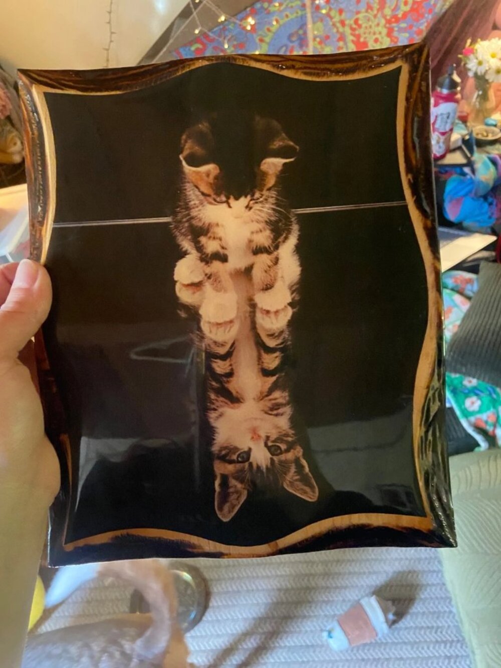 Wall plaque featuring an art print "Reflections" Kitty